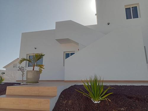 a white building with two potted plants in a courtyard at Apartamento Onix Jacuzzi in Tarajalejo