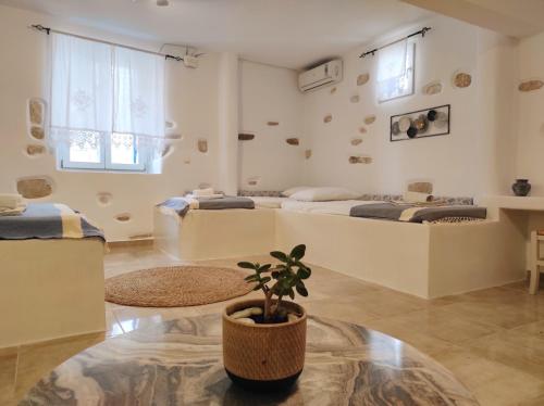 une chambre avec deux lits et une plante en pot dans l'établissement Villa Adriana, à Parikia