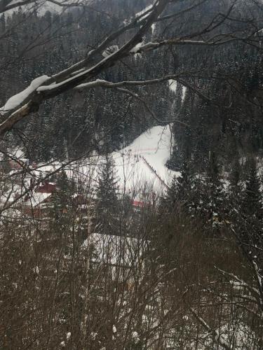 a view of a ski slope in the snow at Garsoniera La Munte in Azuga