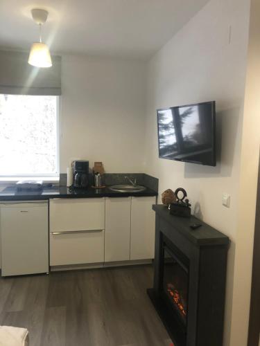 a kitchen with a fireplace and a tv on the wall at Garsoniera La Munte in Azuga