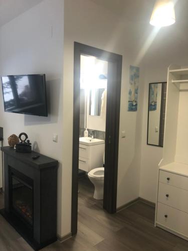 a bathroom with a toilet and a tv on the wall at Garsoniera La Munte in Azuga