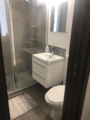 Baðherbergi á Garsoniera La Munte