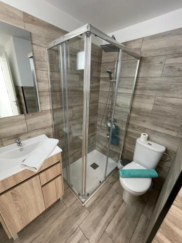 łazienka z prysznicem, toaletą i umywalką w obiekcie Arguineguin Beach, Penthouse Apartment and jacuzzi w mieście Arguineguín