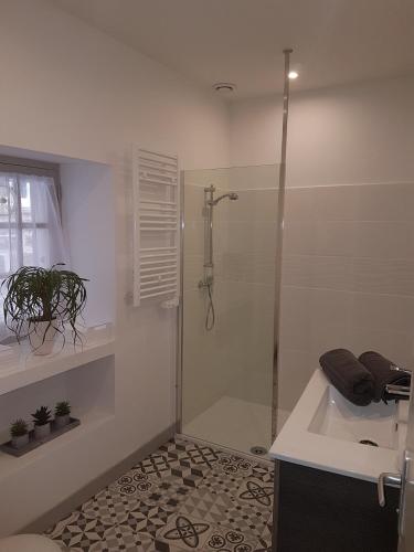 une salle de bain avec une douche, un lavabo et une baignoire dans l'établissement Chez Alice appartement en plein centre ville, à Sarlat-la-Canéda
