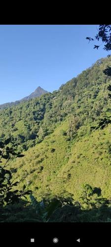 ホテルの近くで見られる自然の景観