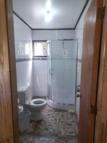 a bathroom with a toilet and a walk in shower at Hermosa cabaña en parcela a 500 metros del centro. in Cunco