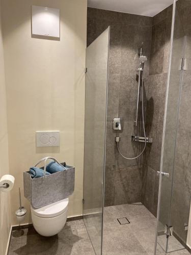 a bathroom with a shower with a toilet and a sink at Seereith Apartments in Brixen im Thale