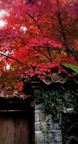 WuYuan QiYe YanXiang Guesthouseにある庭
