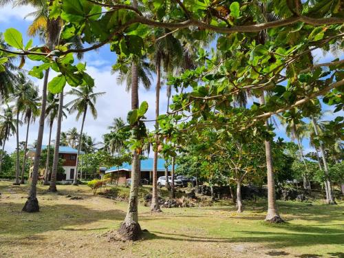 Taman di luar Camotes Palanas Beach Stay
