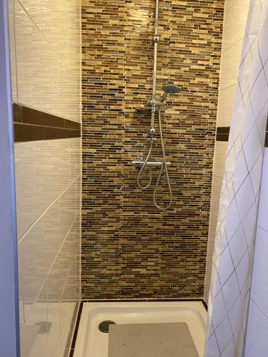 a bathroom with a shower with a tile wall at Holiday aan de Kust in Rijnsburg