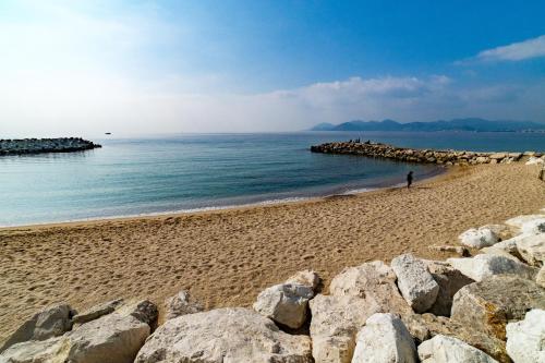 Naturlandskabet i nærheden af lejligheden