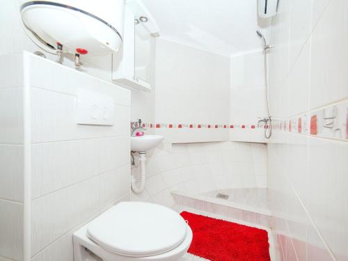 a white bathroom with a white toilet and a red rug at Apartment Alexandra in Kotor