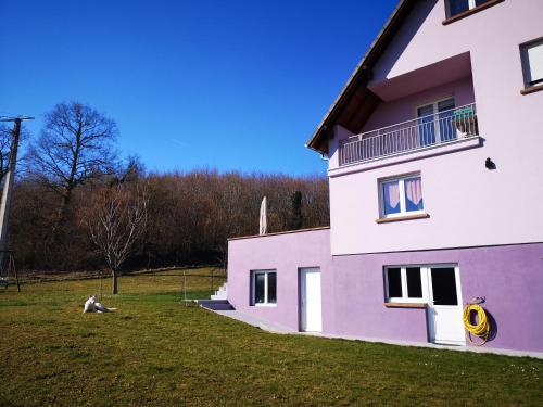 ein weißes und violettes Haus mit einem Hund im Gras in der Unterkunft A l'orée du bois in Romanswiller