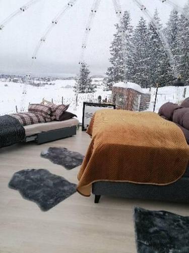 韋爾達爾的住宿－Stiklestad Eye，一间卧室设有两张床,被雪覆盖的树木覆盖