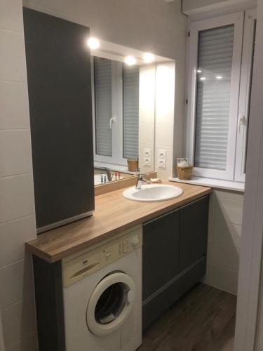 une salle de bain avec une machine à laver et un lavabo dans l'établissement Maison les figuiers Roch Priol, à Quiberon