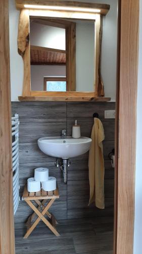 ein Bad mit einem Waschbecken und einem Spiegel in der Unterkunft Healing Farm in Gorenja Vas