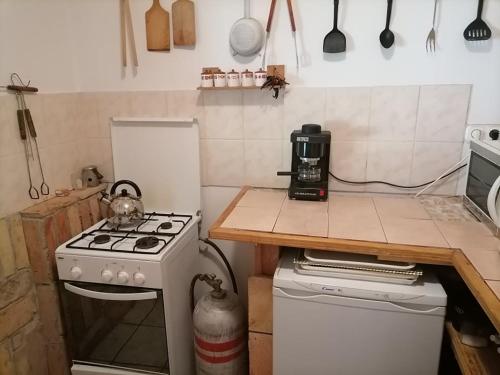 a small kitchen with a stove and a counter top at Parádóhuta Apartman in Parád