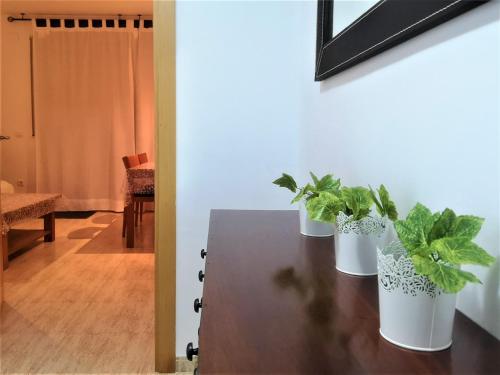 two potted plants sitting on a table in a room at Mar del Delta in L'Ampolla