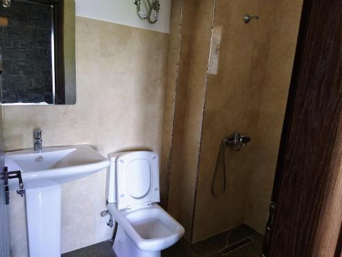 uma casa de banho com um lavatório, um WC e um chuveiro em Chri Chri Guesthouse em Përmet
