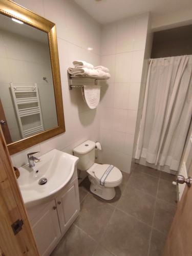 a bathroom with a toilet a sink and a mirror at Apart Hotel Endurance in Punta Arenas