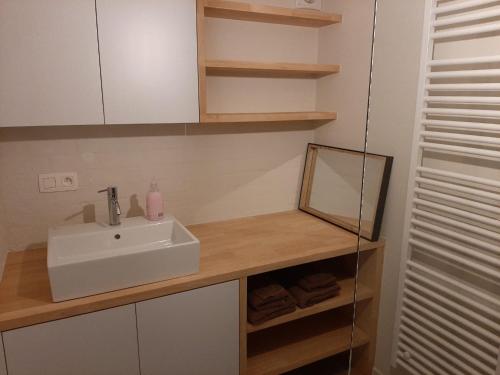 a bathroom with a sink and a mirror at Oostduinkerke aan zee vakantiewoningen De Baeken in Koksijde