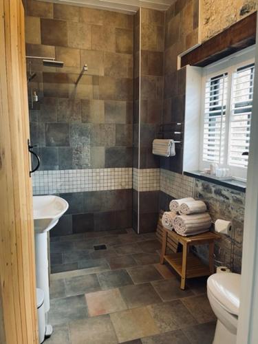 uma casa de banho com um chuveiro, um lavatório e um WC. em Gardener's Cwtch, Llwynhelig Manor em Llandeilo