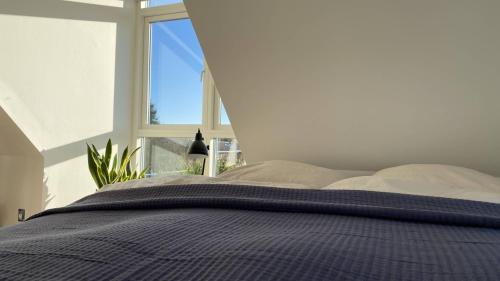 a bedroom with a blue bed with a window at Villa Søholt - Silkeborg Bed and Breakfast in Silkeborg