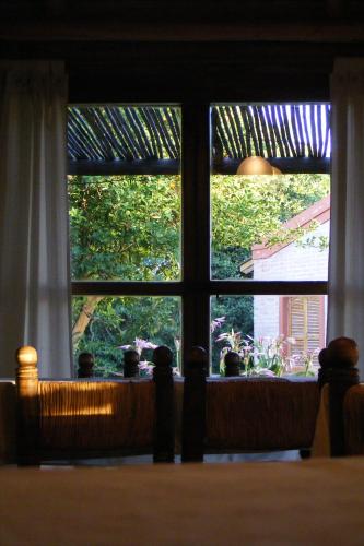 a window with a view of a plant at Hotel Las Termas in Bernardo Larroudé