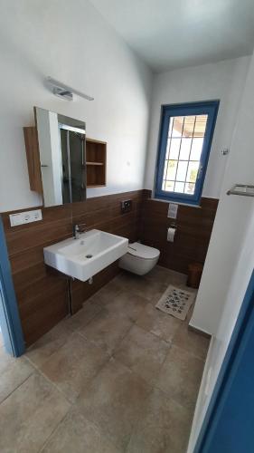 ラクハニアにあるVilla Iliosのバスルーム(洗面台、トイレ付)