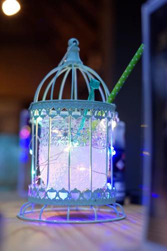 a blue bird cage with a stick in it at Lindiwe Safari Lodge in Hoedspruit