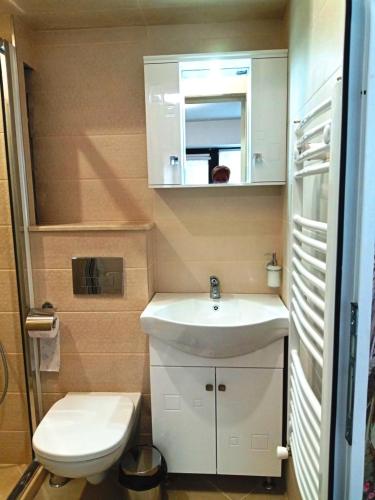 La petite salle de bains est pourvue d'un lavabo et de toilettes. dans l'établissement Студио 55, à Ruse
