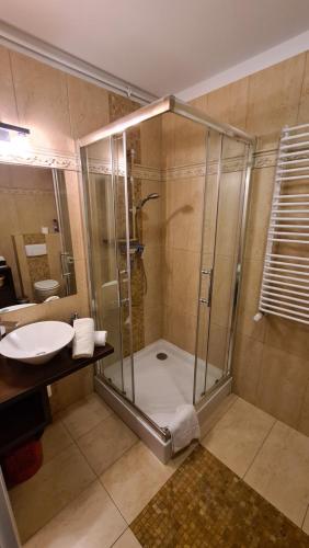 シュクラルスカ・ポレンバにあるApartament Jagodaのバスルーム(シャワー、シンク付)