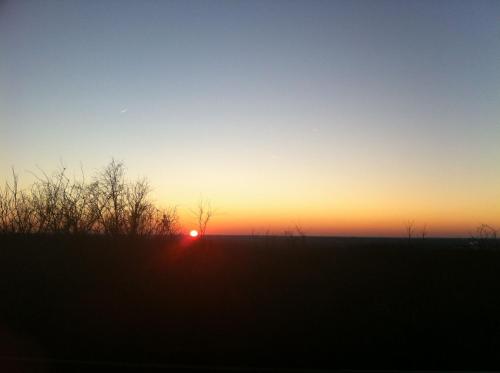 a sunset in a field with trees in the foreground at Rustic Motel Rolla in Rolla