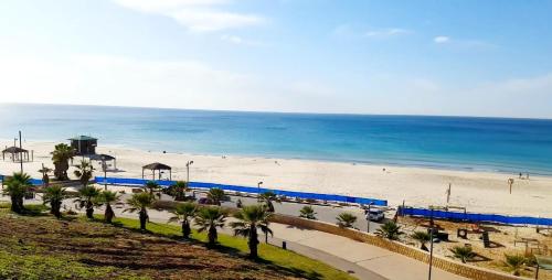 a view of a beach with palm trees and the ocean at Hotel Apartment Short Term Tel Aviv Bat Yam 5 in Bat Yam