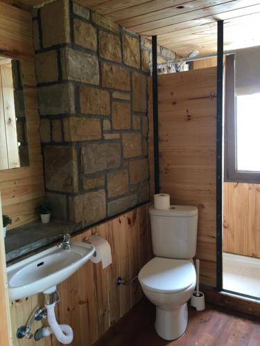 La salle de bains est pourvue de toilettes, d'un lavabo et d'un mur en pierre. dans l'établissement Ak-55 Rural House, à Villaviciosa