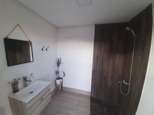 a bathroom with a shower and a sink and a mirror at Hospedaje MP canning in Ezeiza