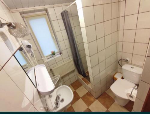 a small bathroom with a toilet and a sink at Domek,Nocleg pod Skrzycznym Szczyrk in Szczyrk