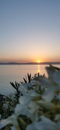 Gallery image of Pouletis Family Apartments - Akroyali Seaview Getaways in Kalamata