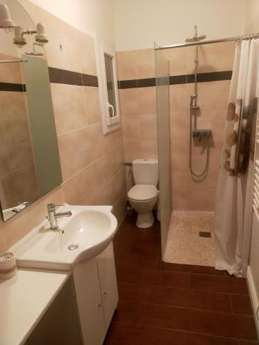 une salle de bain avec un lavabo, des toilettes et une douche dans l'établissement T3 proche Castillet, à Perpignan