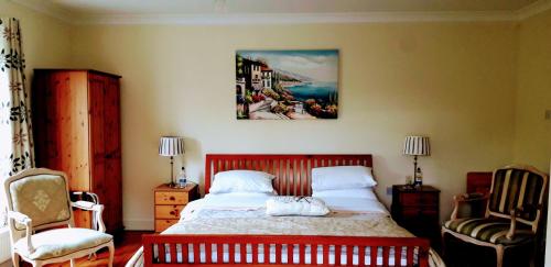 a bedroom with a bed and a painting on the wall at Newlands Lodge in Kilkenny