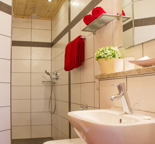 a bathroom with a sink and a shower with red towels at Birkholmhof in Bärnau