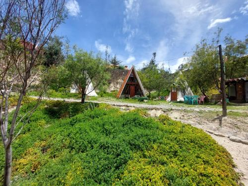 a house with a grassy yard with a building at Colibrí Eco Lodge & Camping in La Paz
