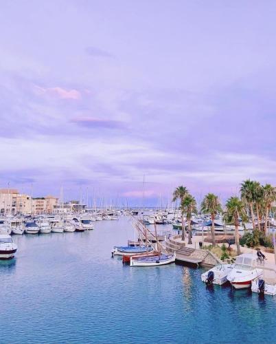 Location Port Fréjus, bord de mer