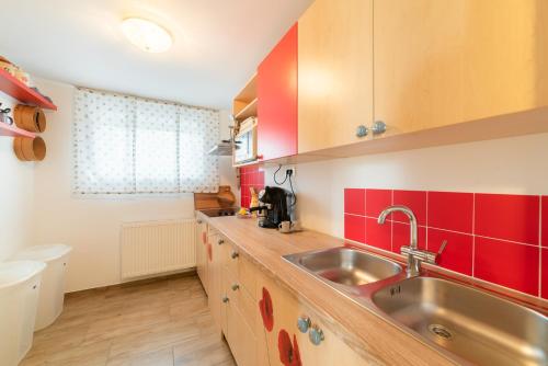 a kitchen with a sink and red tiles at Bah Apartment in Ljubljana