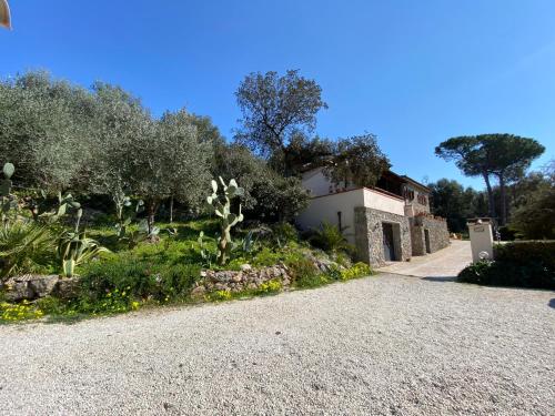 a driveway to a house with trees and plants at Villa Paradisino in Orbetello