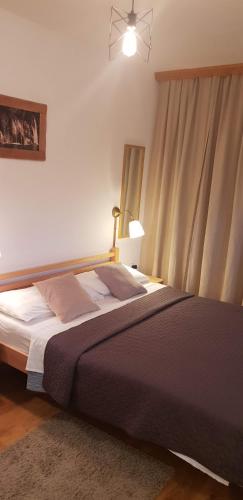 a bedroom with a large bed with a window at Apartment Mila in Plitvička Jezera