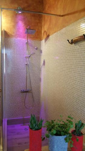 a bathroom with a shower with two potted plants at Orange Ville in Villamassargia