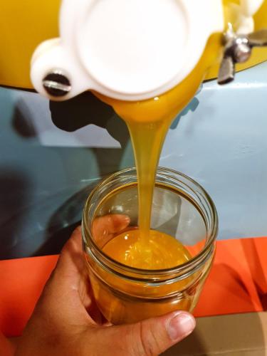 a hand holding a glass jar filled with honey at BnB Haus Weibel in Landquart