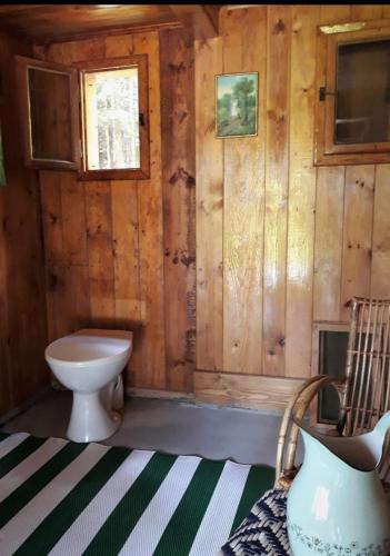 ein Bad mit einem WC in einer Holzwand in der Unterkunft Chata - Na samotě u lesa in Levín