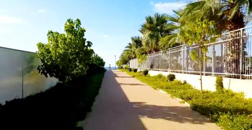 Κήπος έξω από το 612 apartment on the beach
